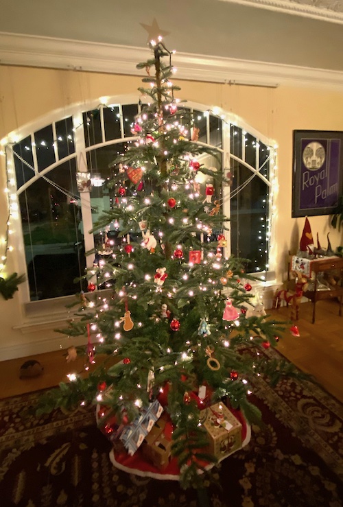 Cohn family Christmas tree 2019