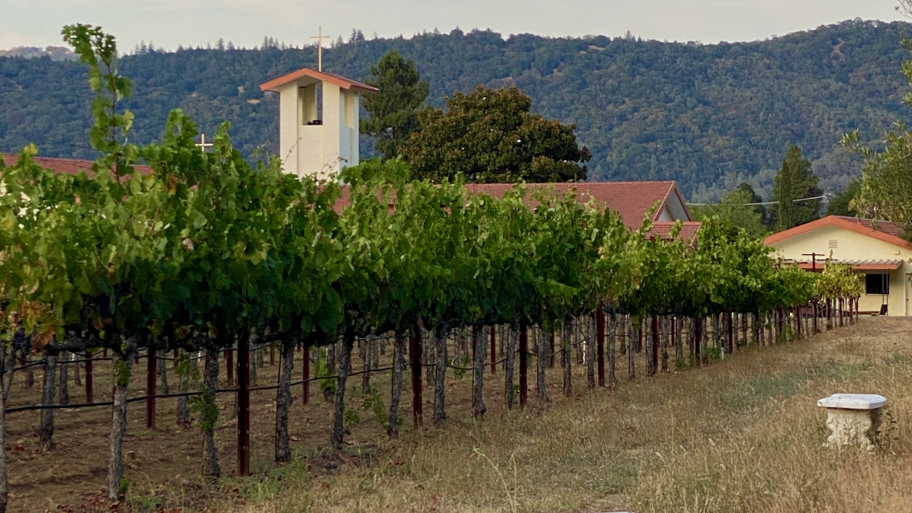 an in color view of the saint peter's church from the tops of the vineyards