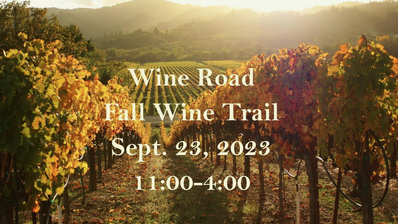 Fall Wine Trail banner image of golden hour light shining across a Sonoma County vineyard