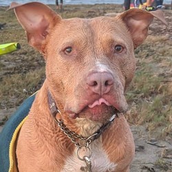 Emmy Thompson at Bodega Bay