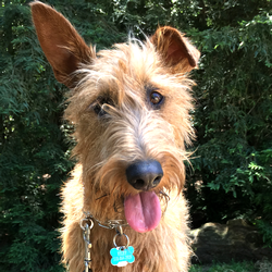 riley-cohn-founding-member