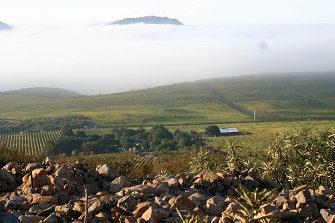 a point of view of the stagecoach vineyards from atlas peak