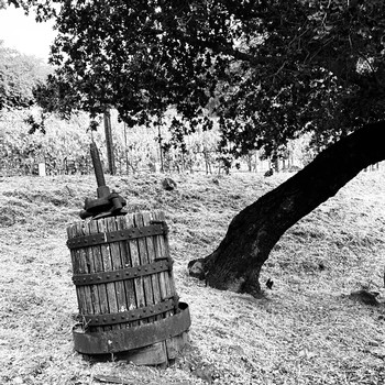 antique winemaking equipment at iron hill vineyard