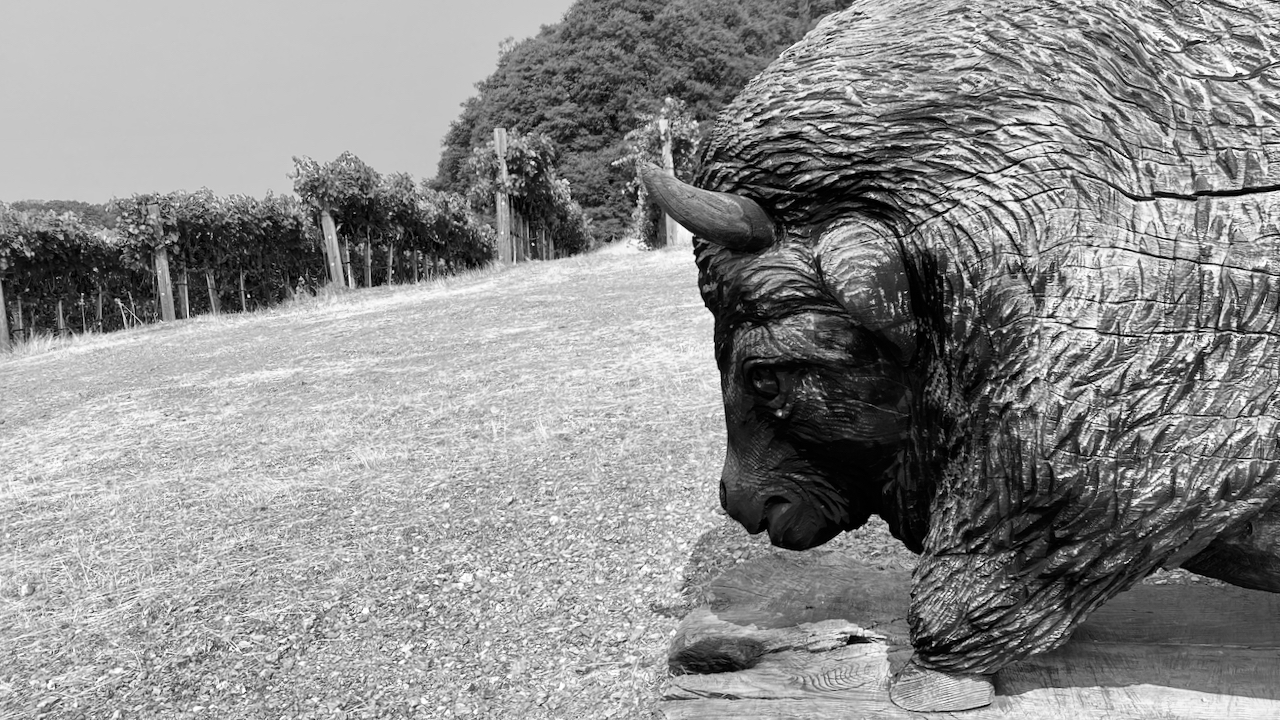 a carved wooden buffalo found on a hill at rockpile vineyard.