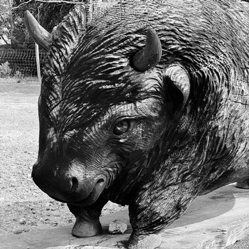 the head of a wooden buffalo located at rockpile vineyard